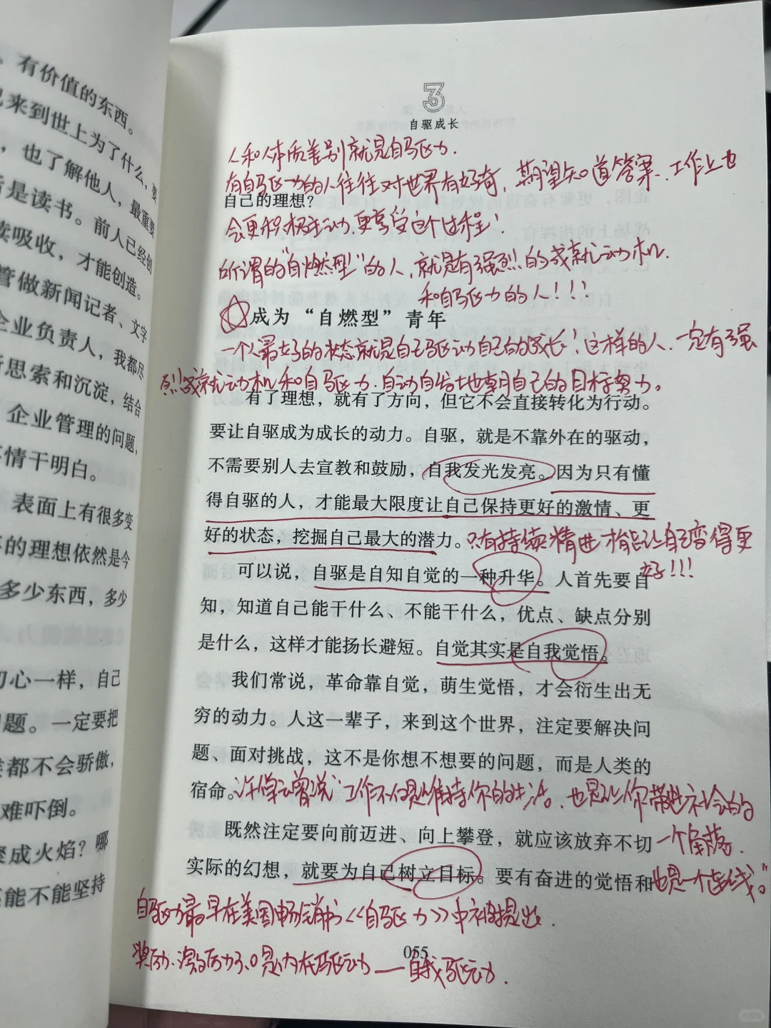 新年发财！稳稳托举自己！职场宝典越早读越好