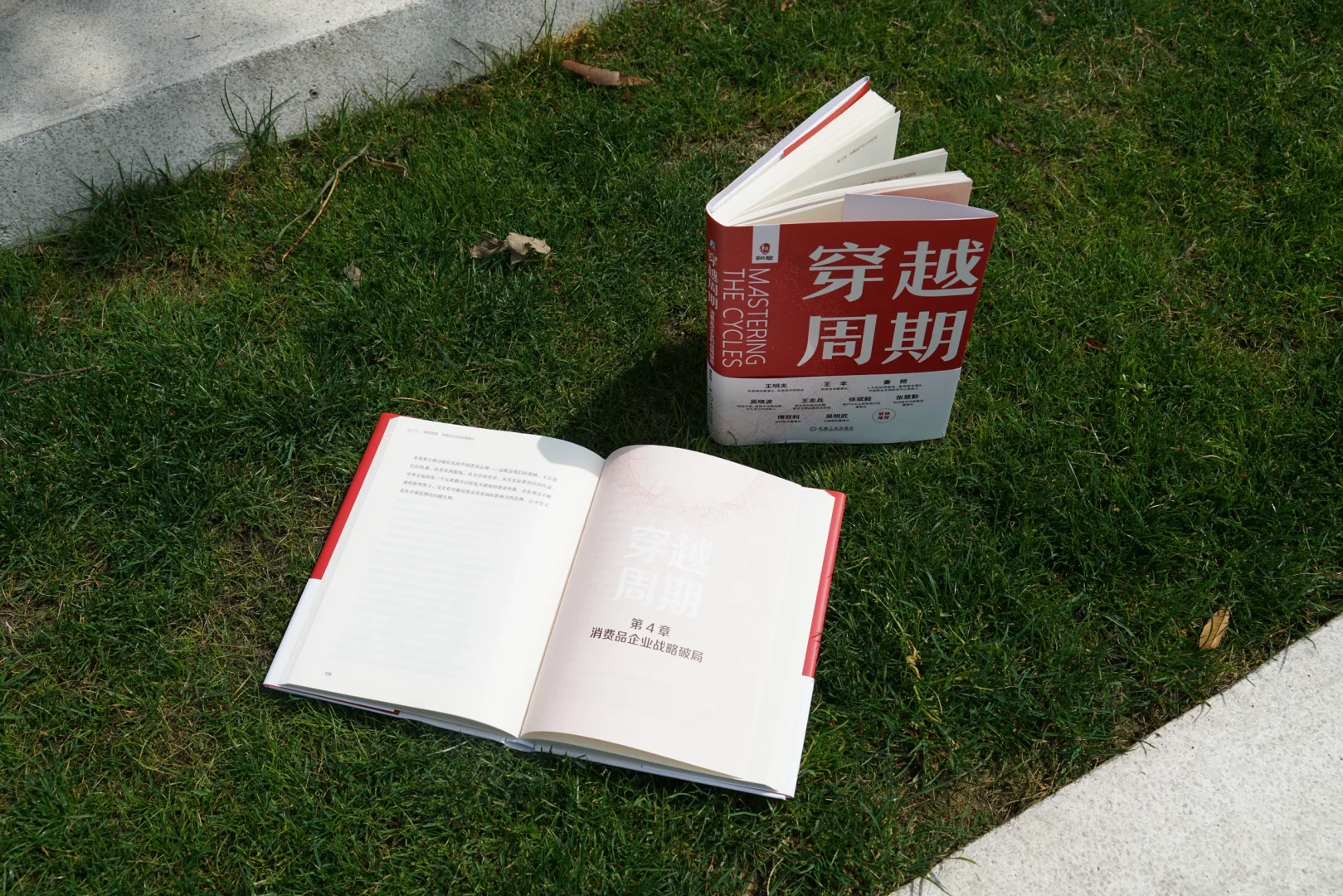 📚新书推荐｜《穿越周期》