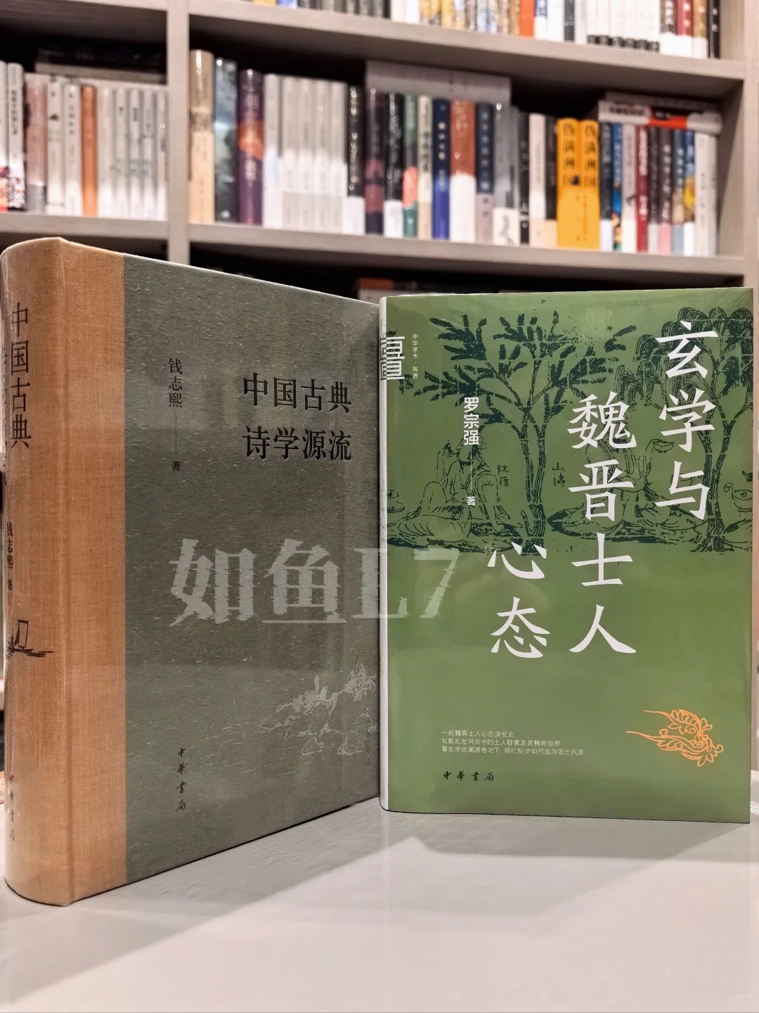 2025年2~4月，鱼叔新入中华书局新书11册