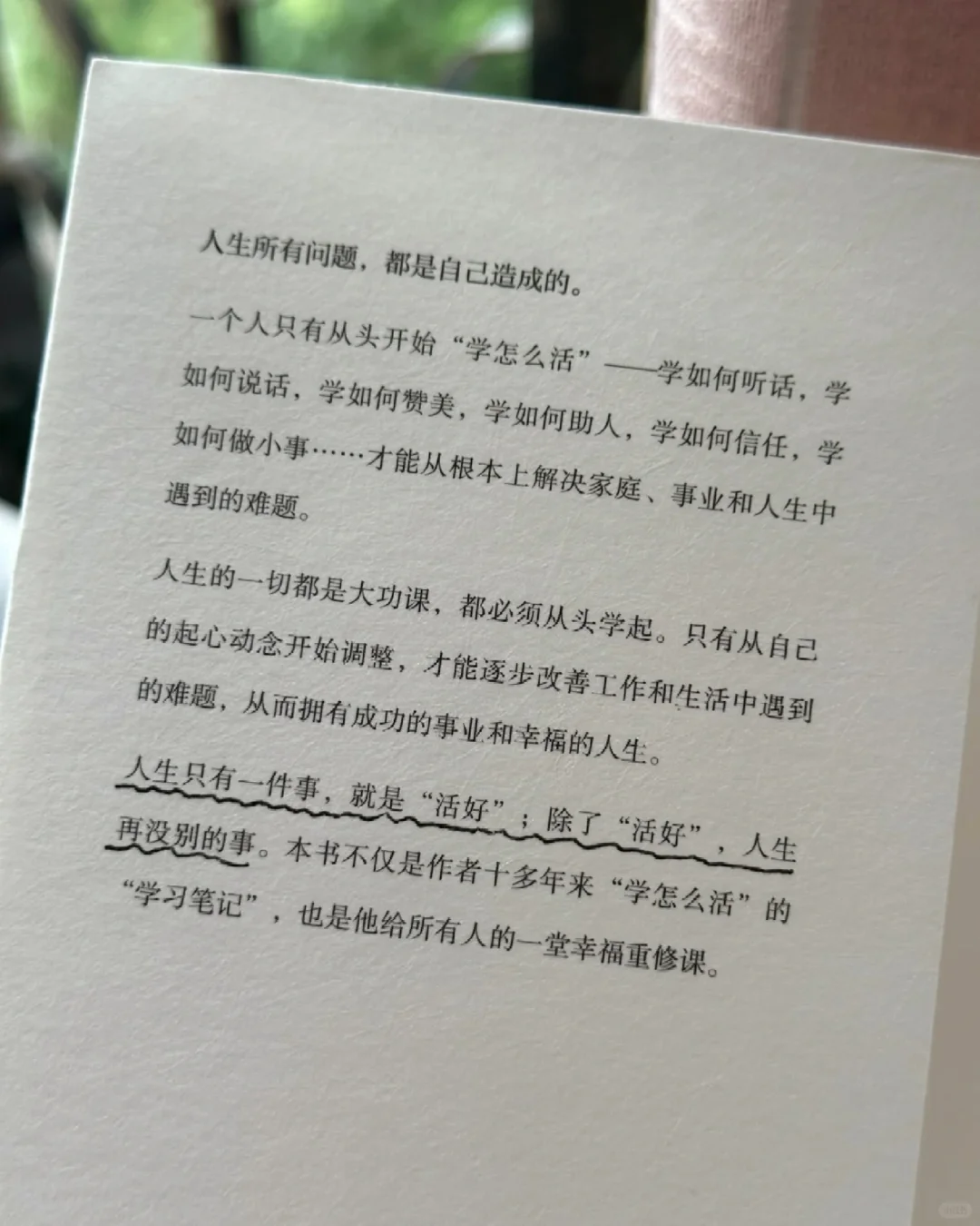 今年读到最绝的一本书