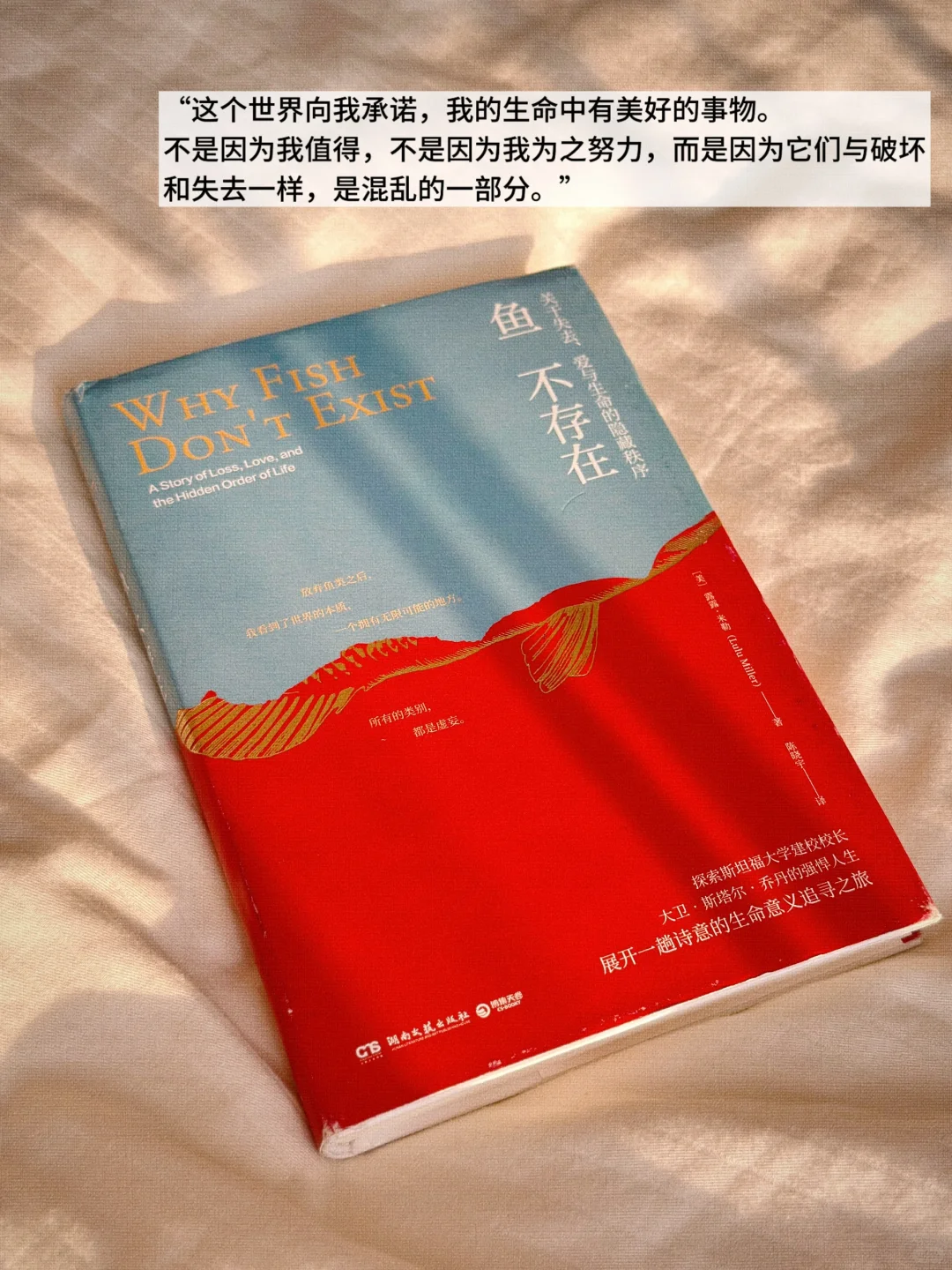 INFJ六月书单📚 |赫尔曼·黑塞《德米安》最佳