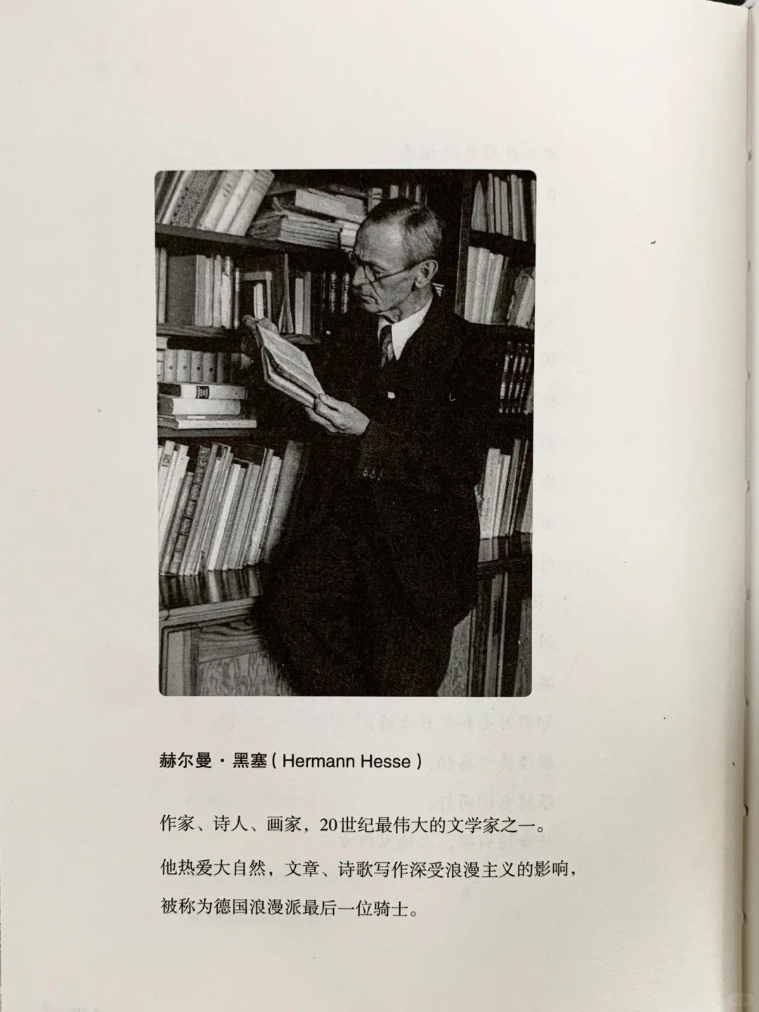 一眼沦陷✨文字和装帧都美到心颤啊啊啊！