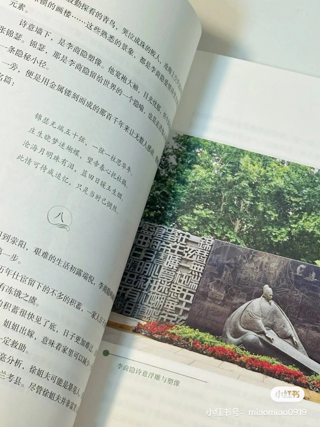 夏日书单｜我心中的五星好书✨每一本都很绝！！
