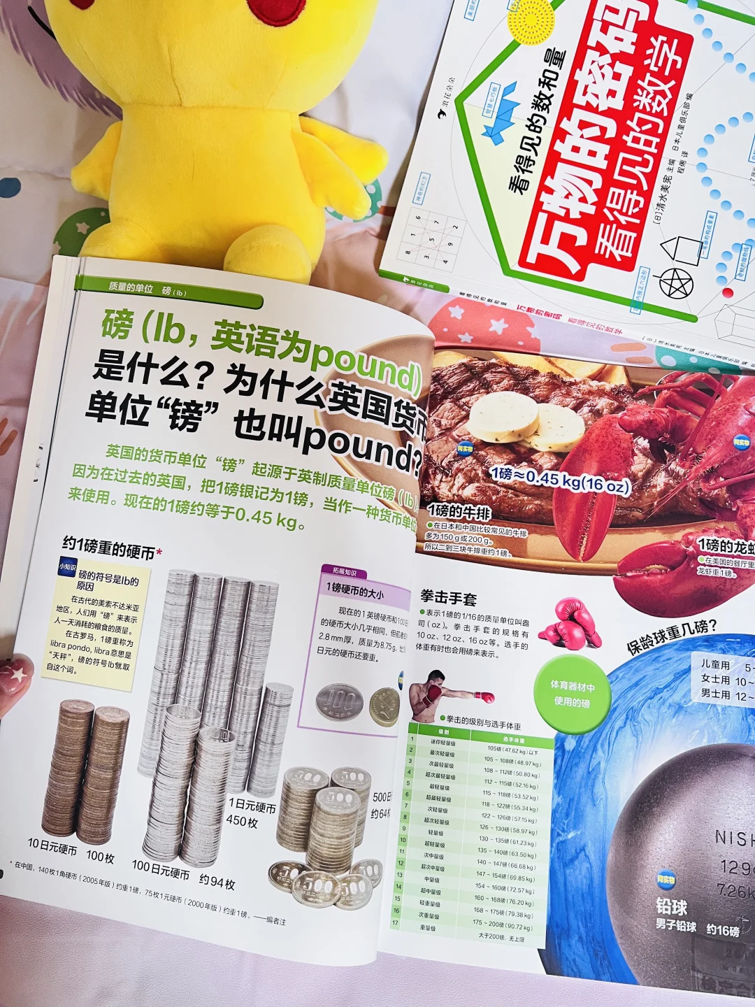 我宣布！！这是小学数理化的神
