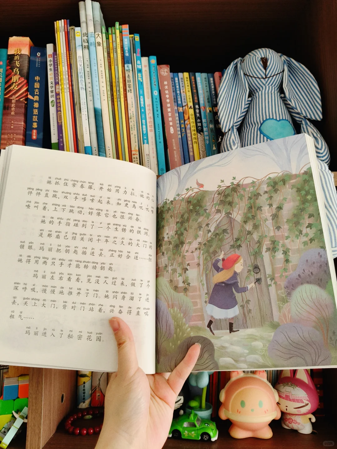 📚儿童名著大推荐！中信版必读🔥