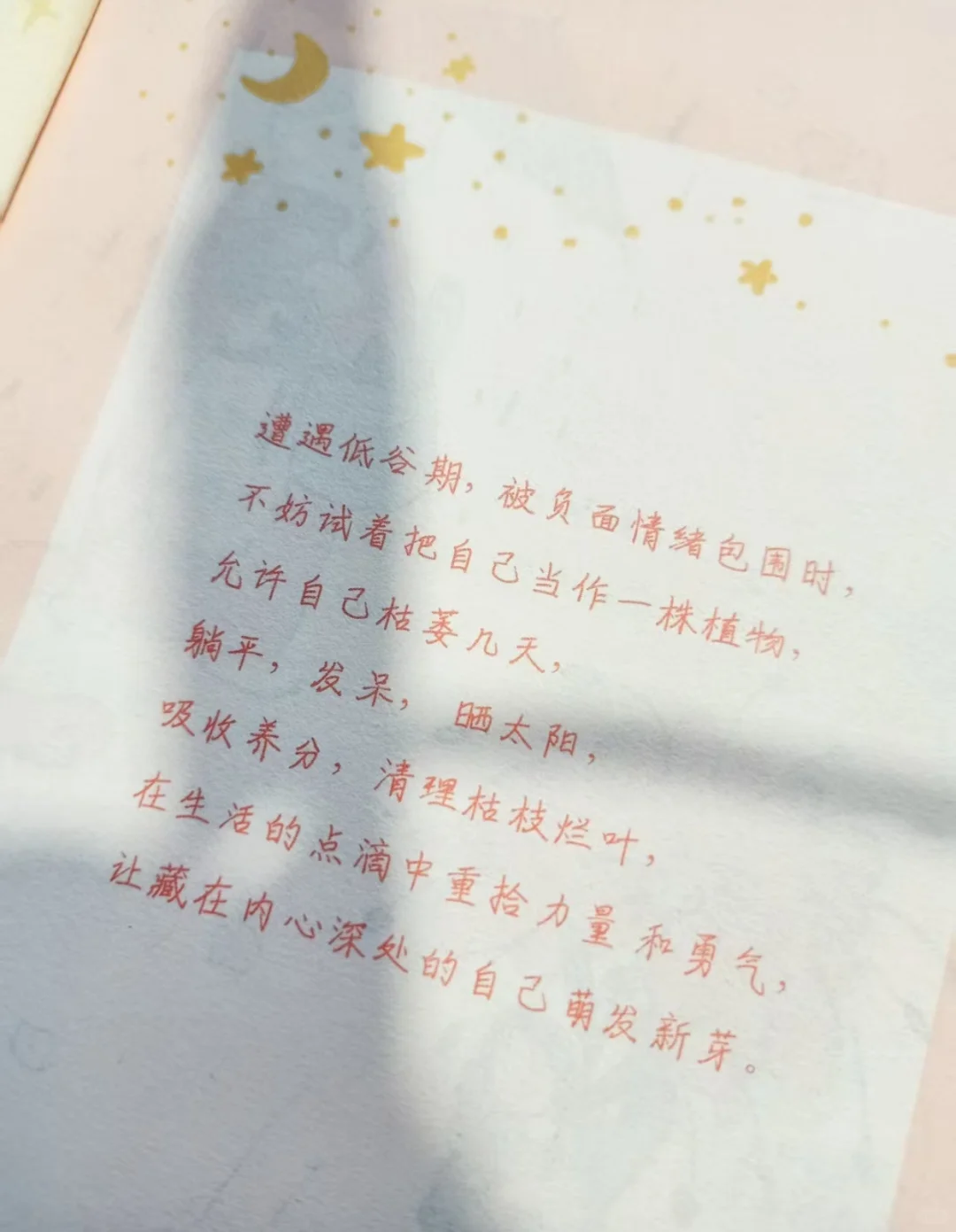 我宣布！这是我今年读过蕞治愈的书❤️