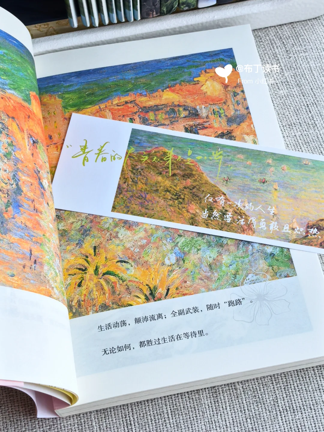 太治愈啦🌤这本书是我低谷期的救赎‼️