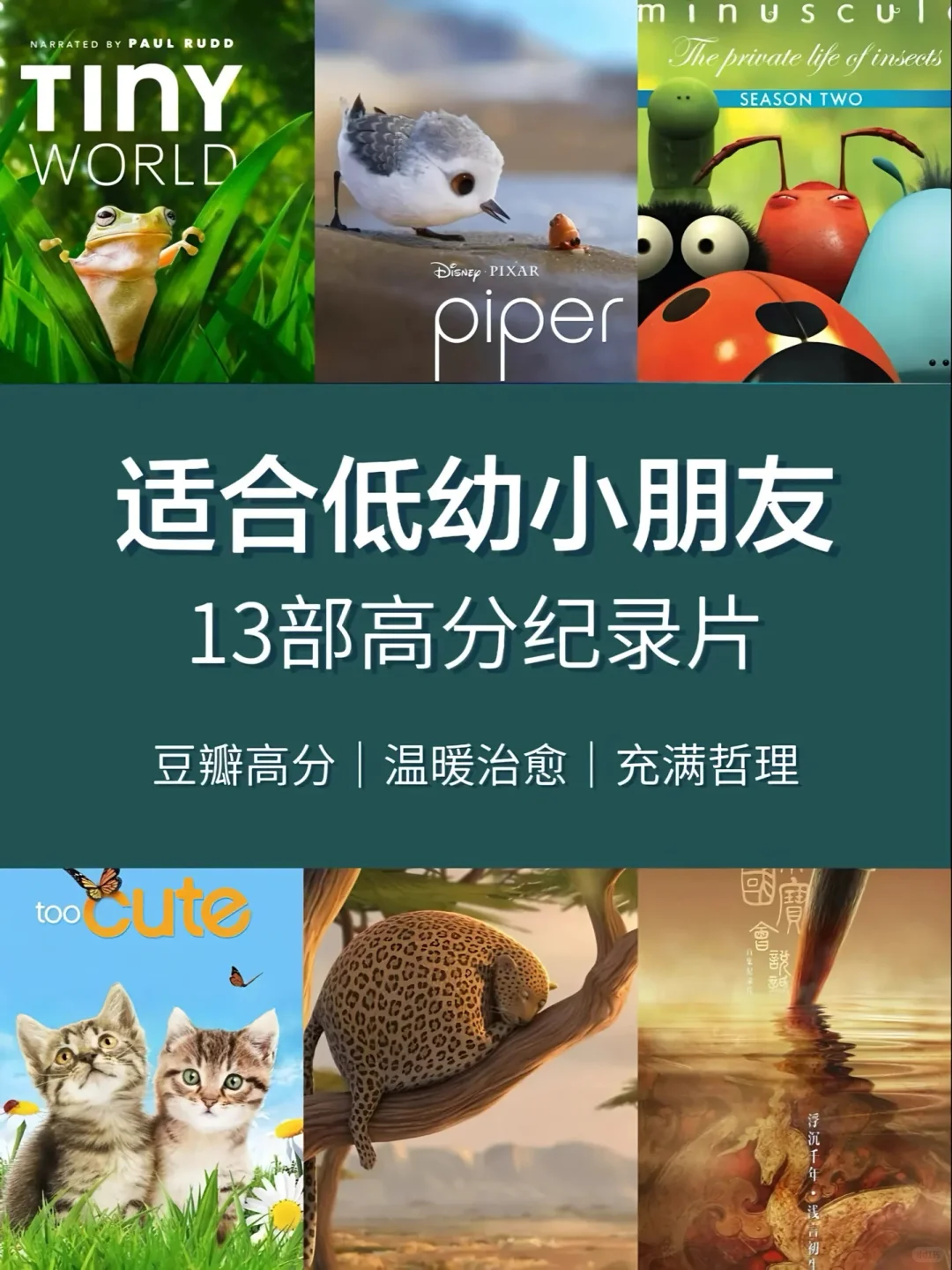适合低幼小朋友的13部高分纪录片！