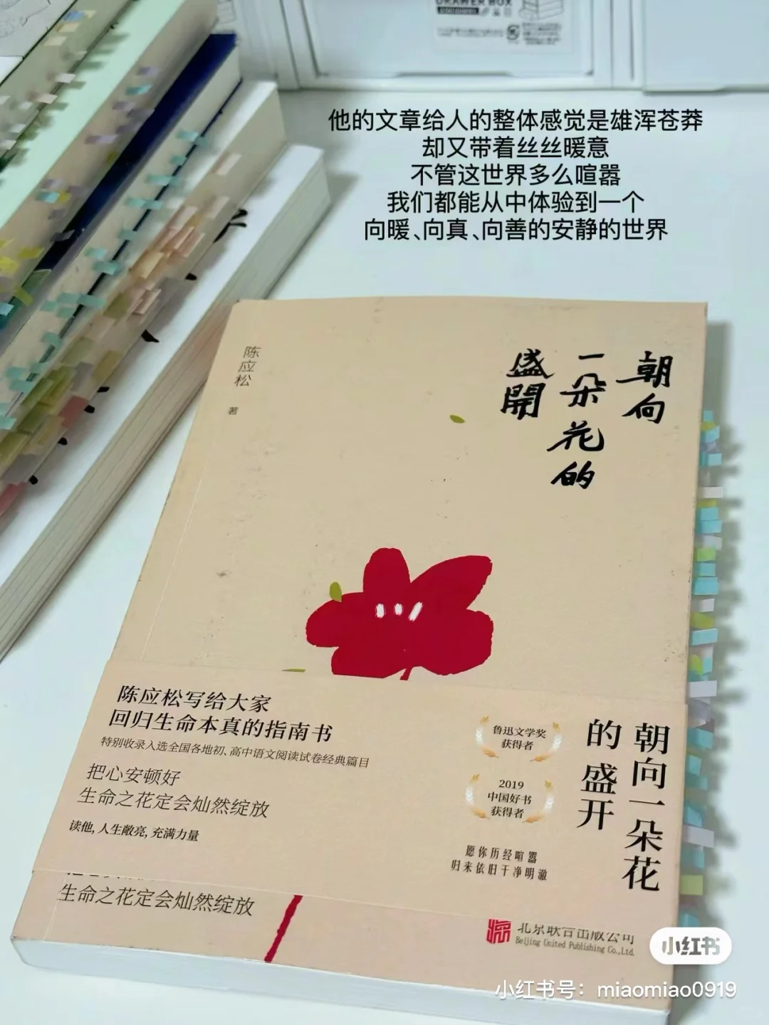 夏日书单｜我心中的五星好书✨每一本都很绝！！