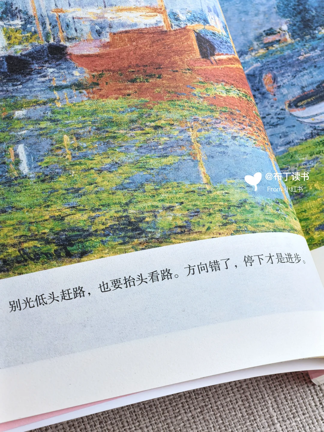 太治愈啦🌤这本书是我低谷期的救赎‼️