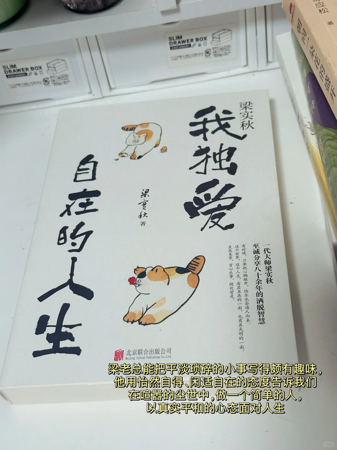 夏日书单｜我心中的五星好书✨每一本都很绝！！