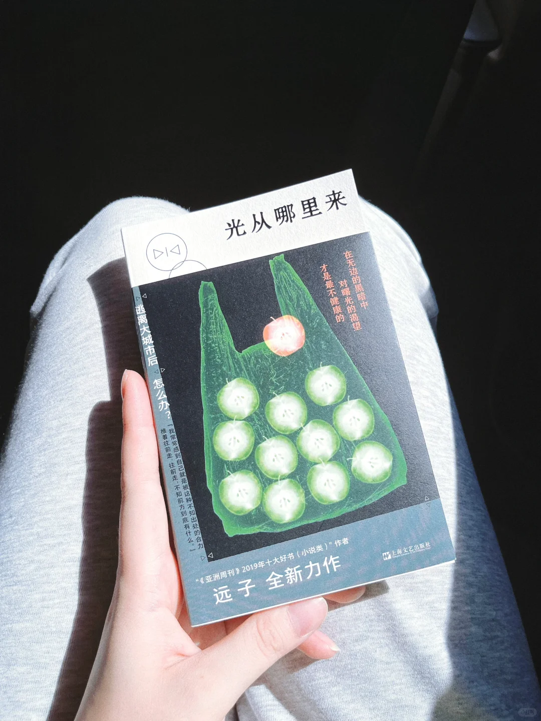 营销编辑通勤哪里会看正经书……..