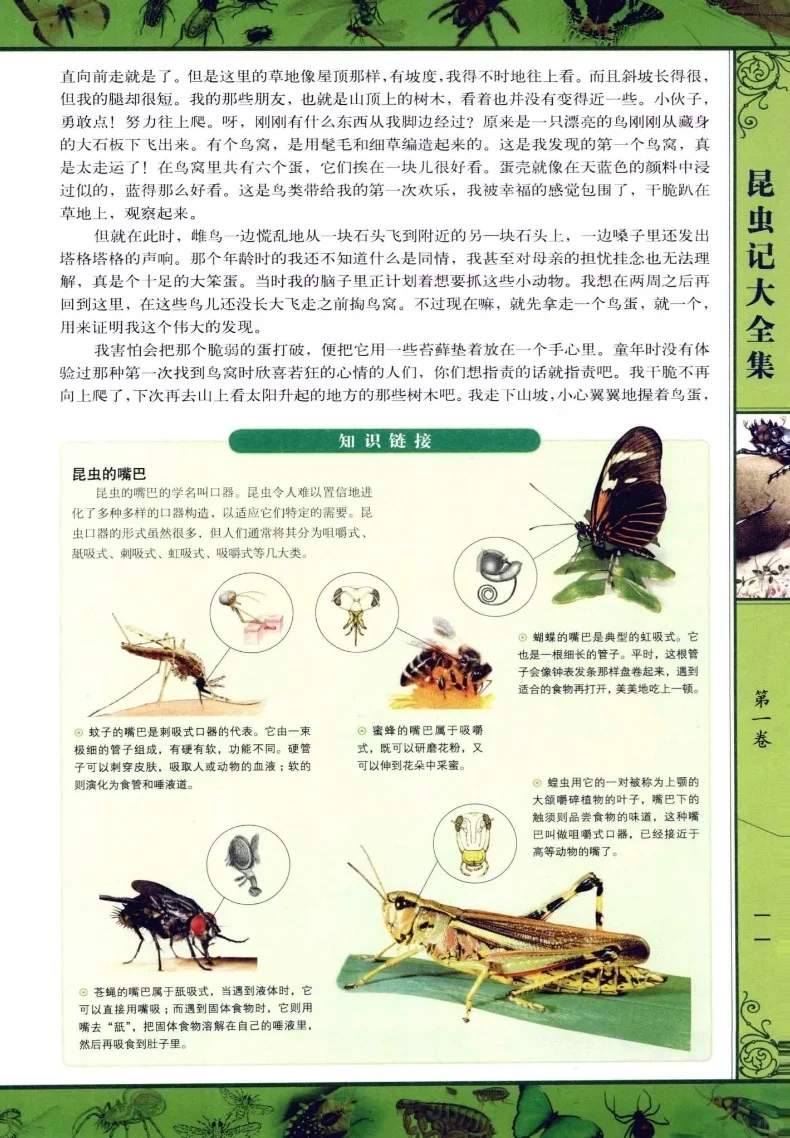 一到六年级暑假课外书分享/人民日报推荐