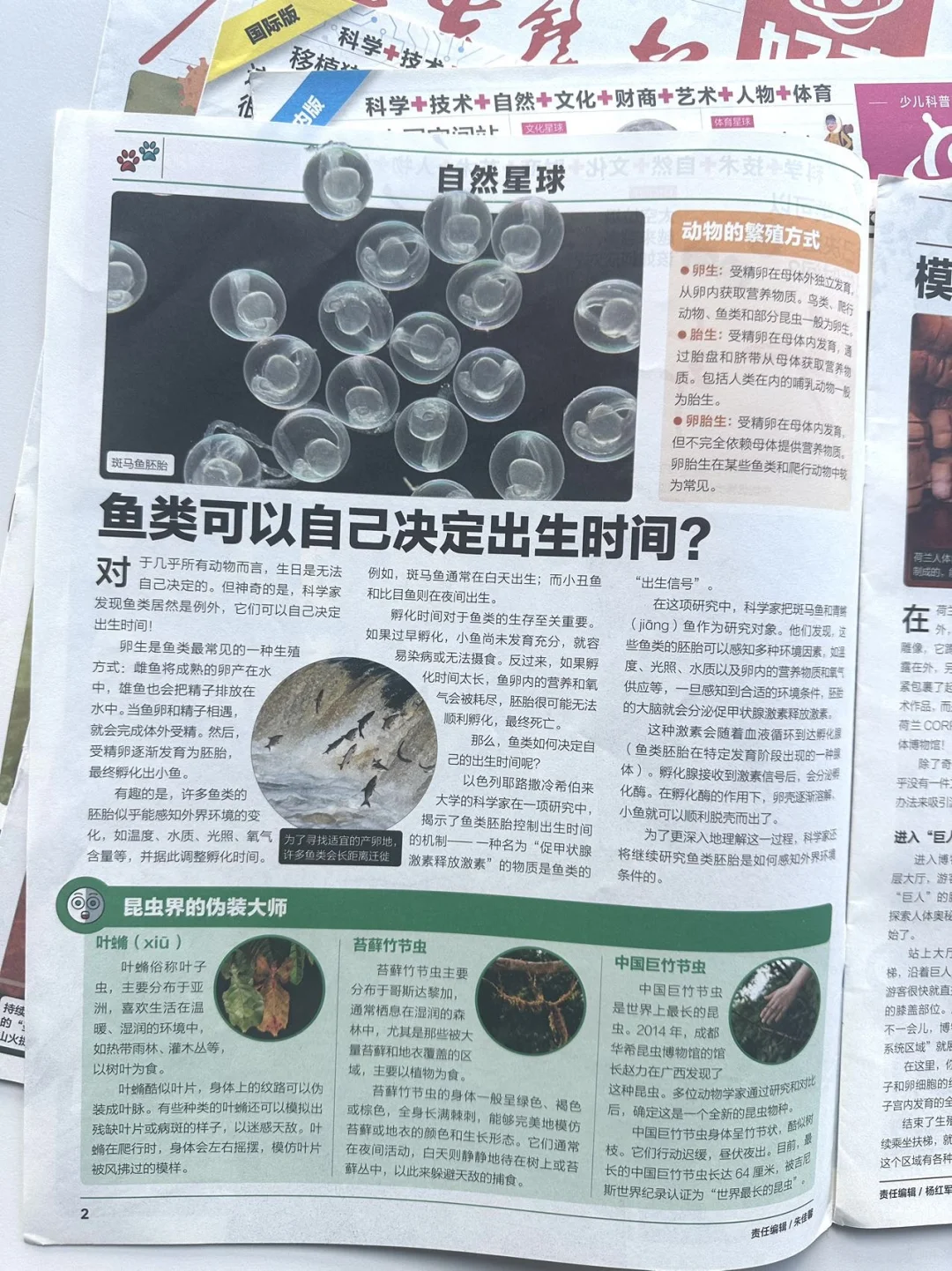 🌈一份给 6-12 岁小朋友既能听又能读的报纸