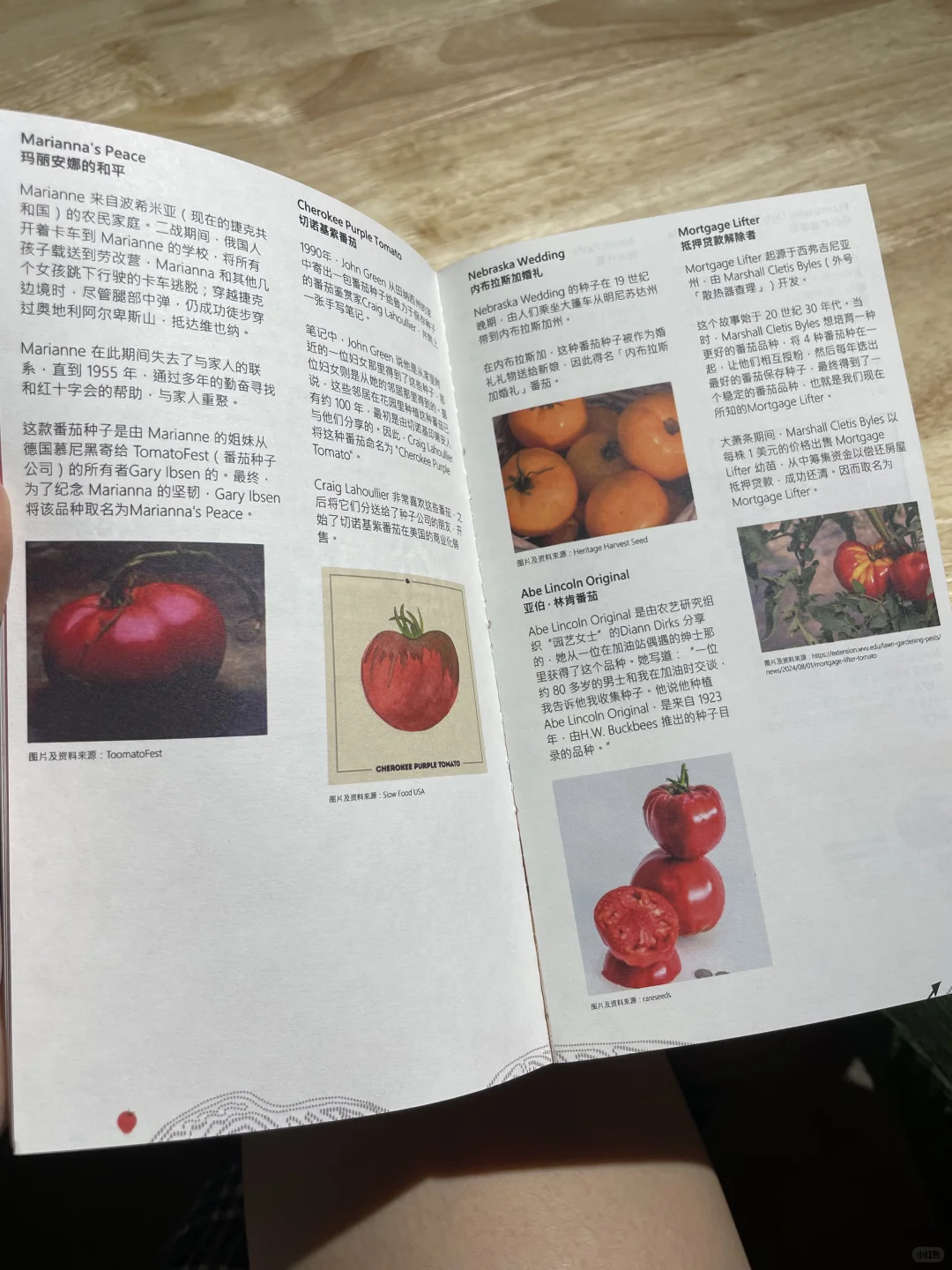 我到处看书