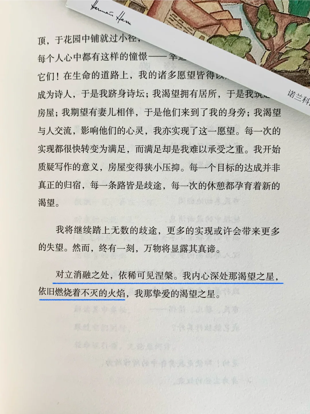 一眼沦陷✨文字和装帧都美到心颤啊啊啊！