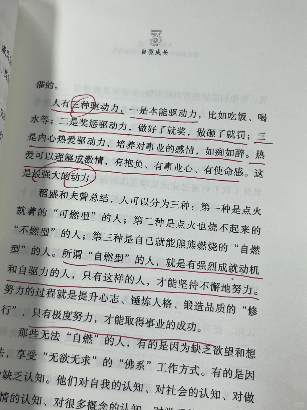 新年发财！稳稳托举自己！职场宝典越早读越好