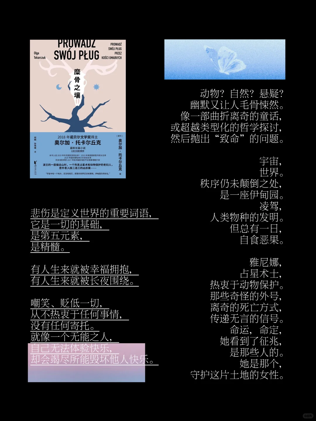 通勤必备书单1｜我在地铁🚇上看些什么
