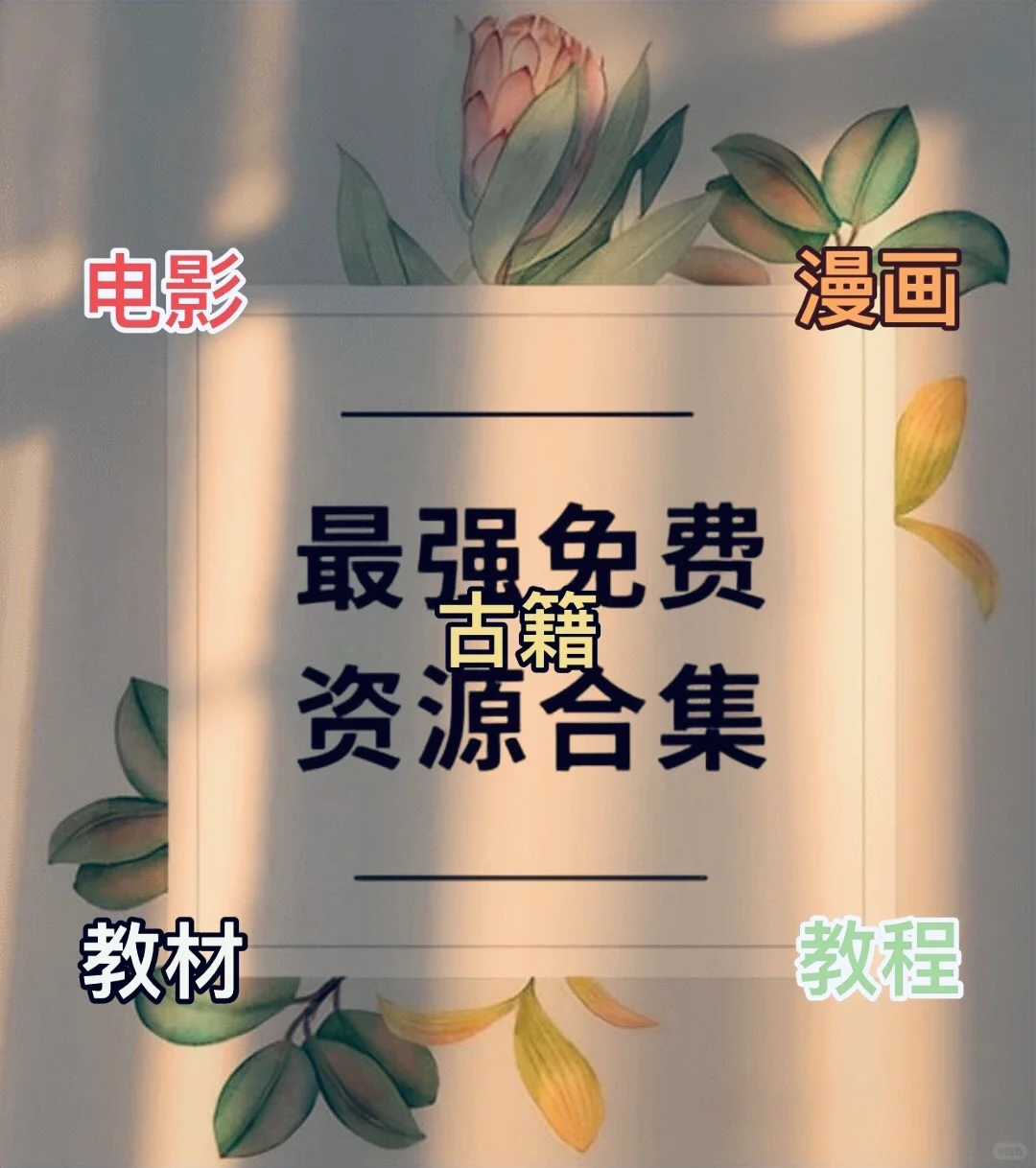 资源合集🔥🔥