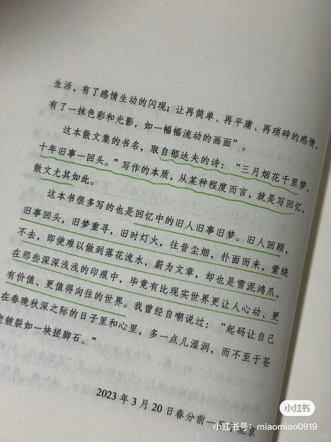 夏日书单｜我心中的五星好书✨每一本都很绝！！
