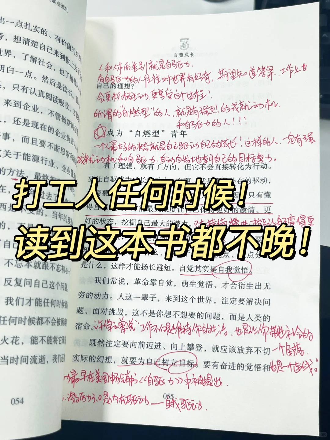 新年发财！稳稳托举自己！职场宝典越早读越好