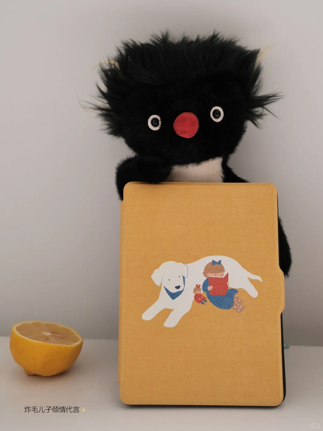 kindle｜温暖的陪伴་ ✿◞