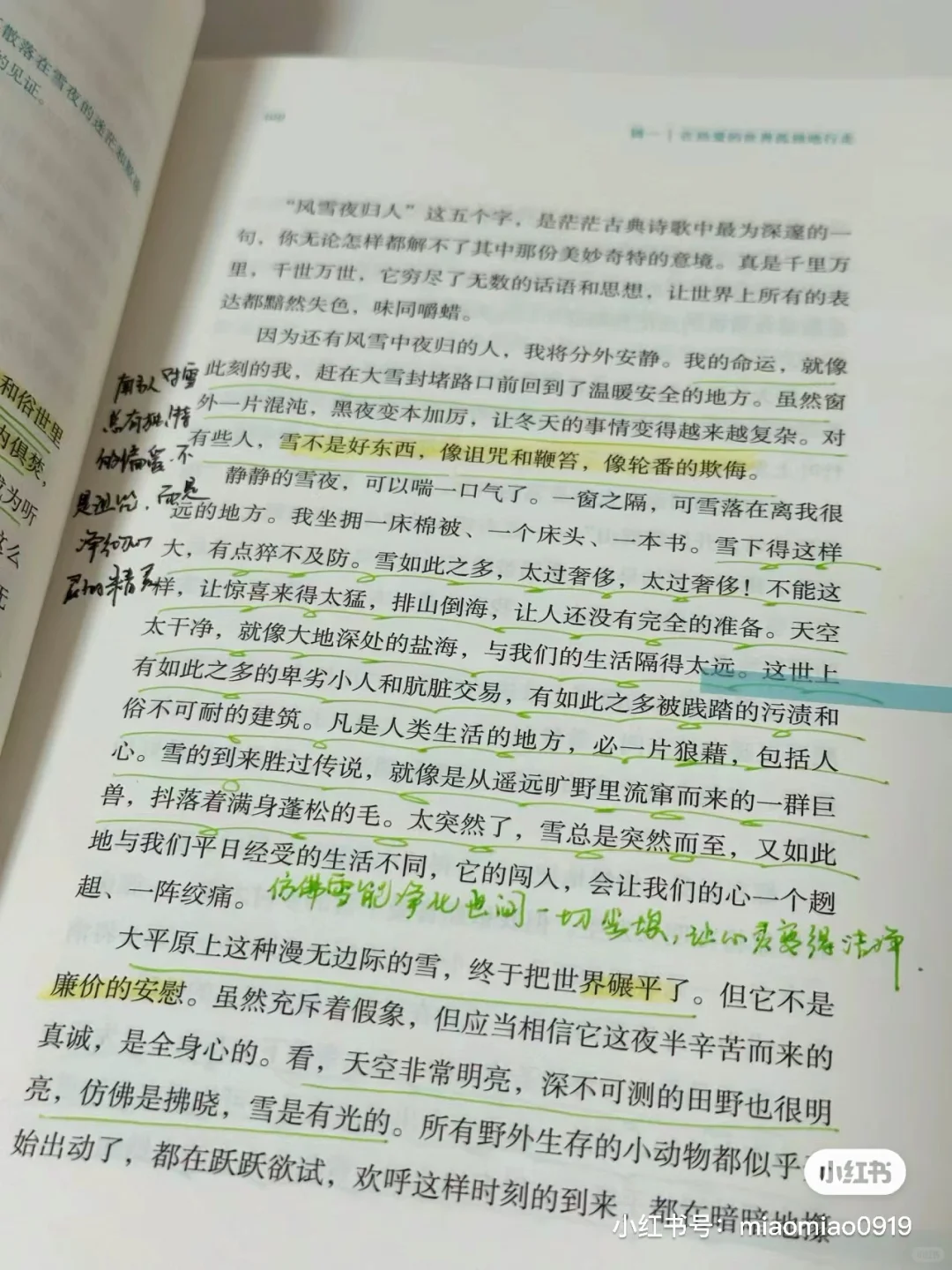 夏日书单｜我心中的五星好书✨每一本都很绝！！