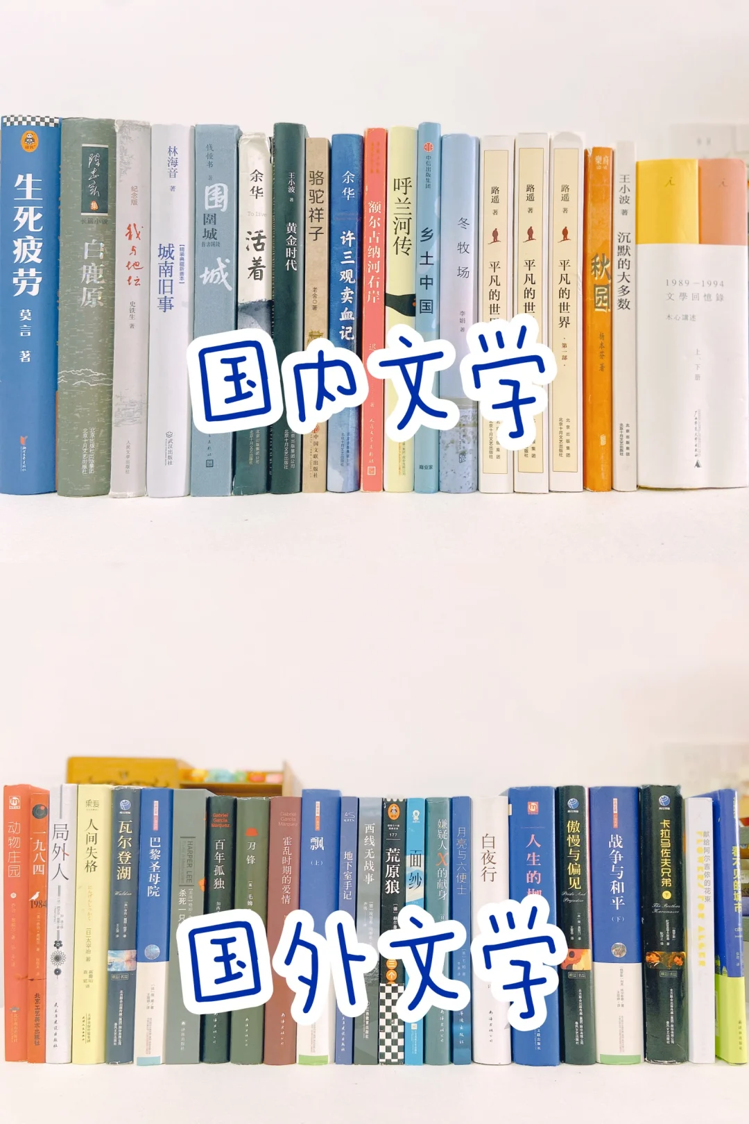 豆瓣9.0以上的国内文学国外文学