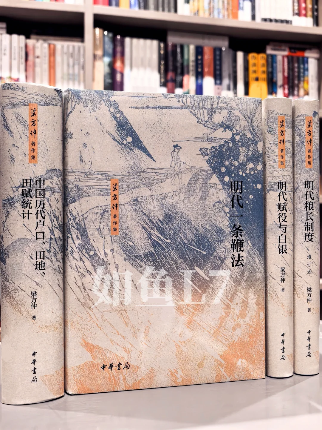 2025年2~4月，鱼叔新入中华书局新书11册