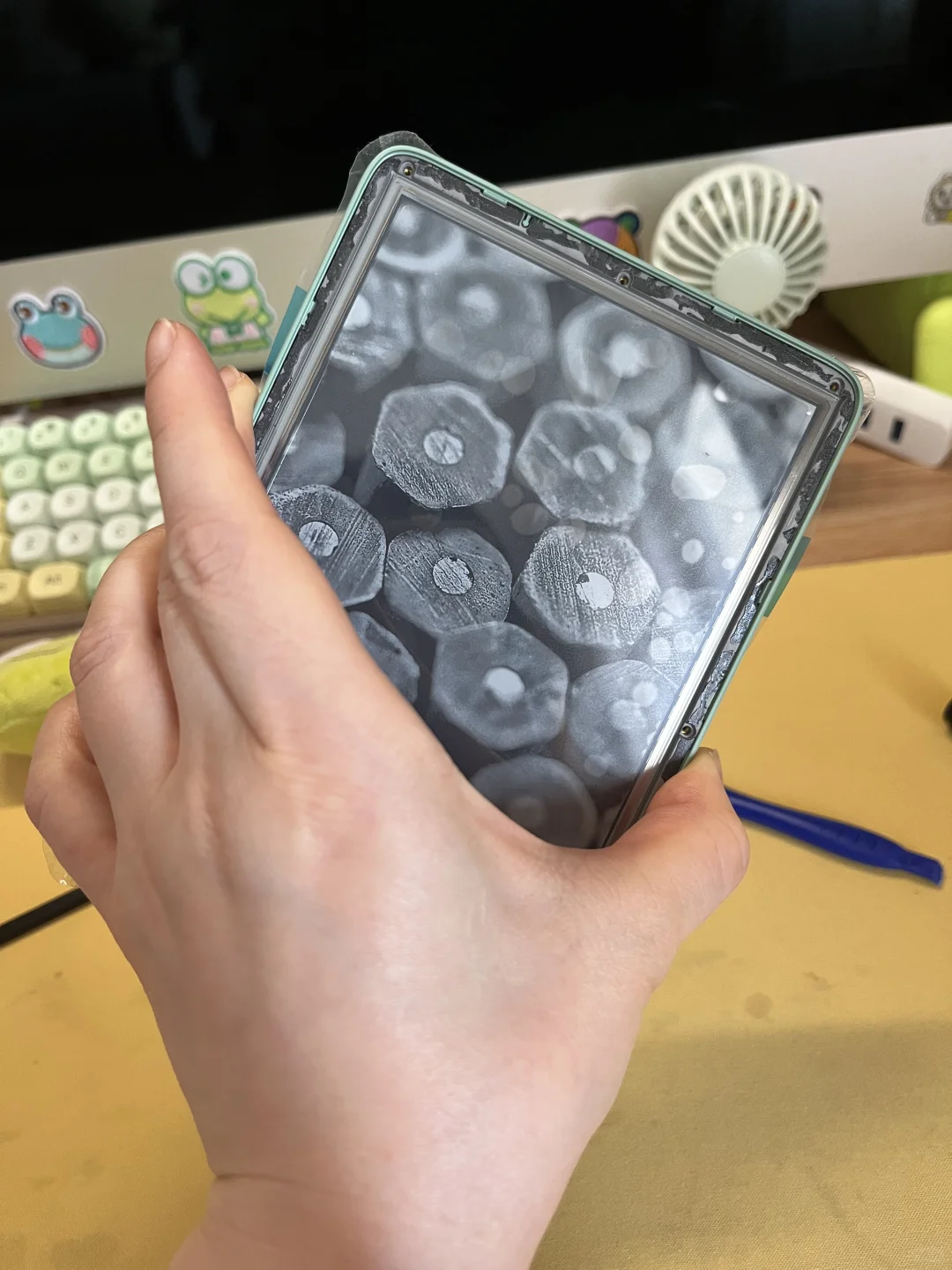 kindle换壳上岸！耶😀