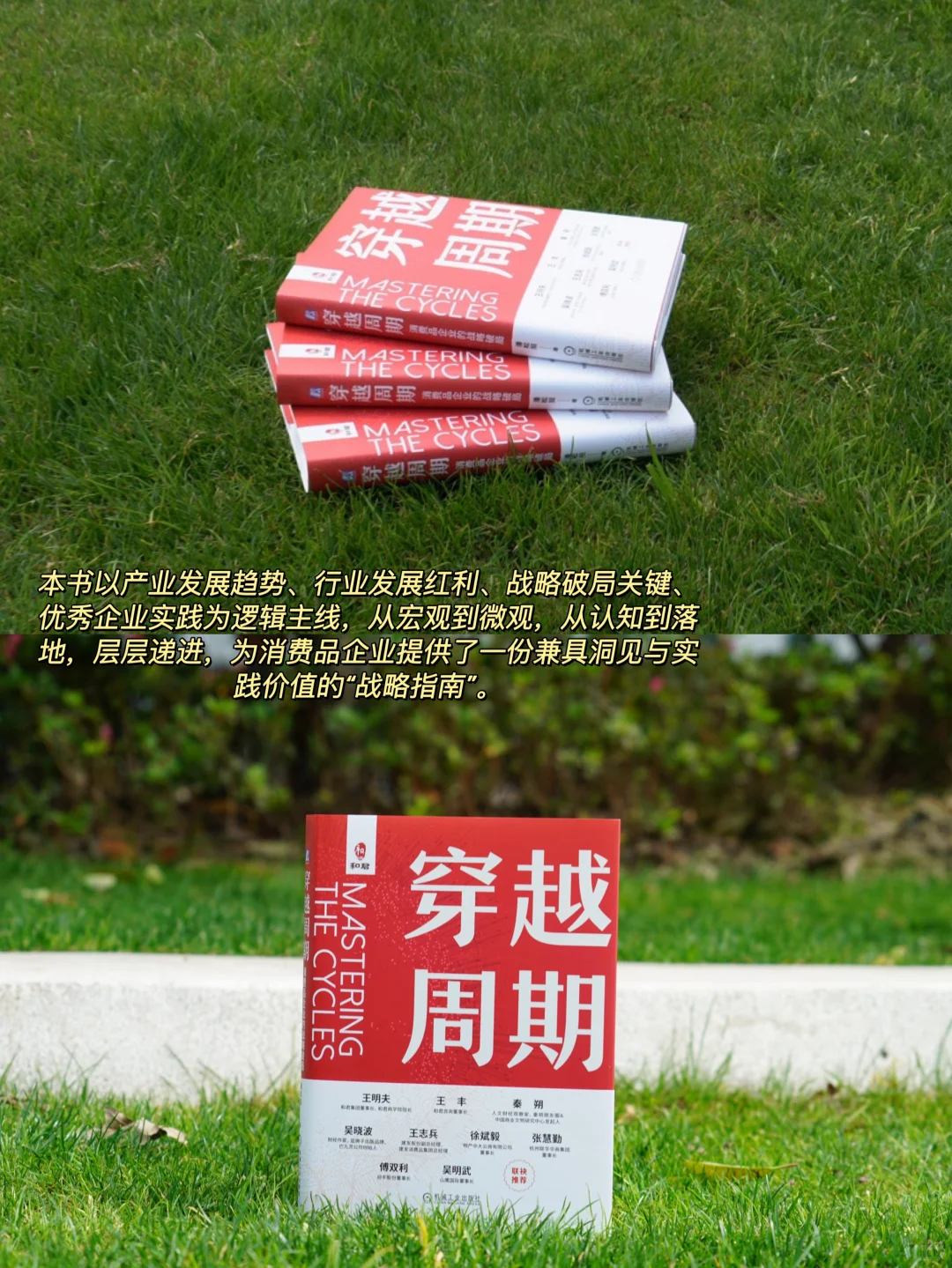 📚新书推荐｜《穿越周期》