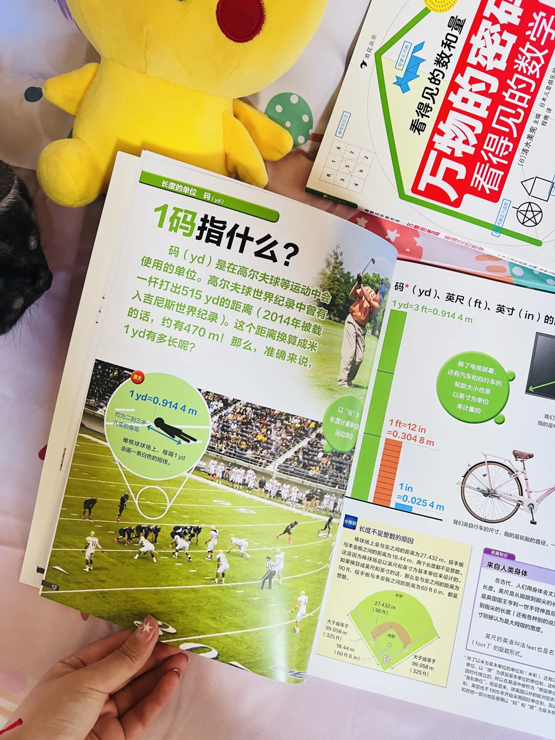 我宣布！！这是小学数理化的神