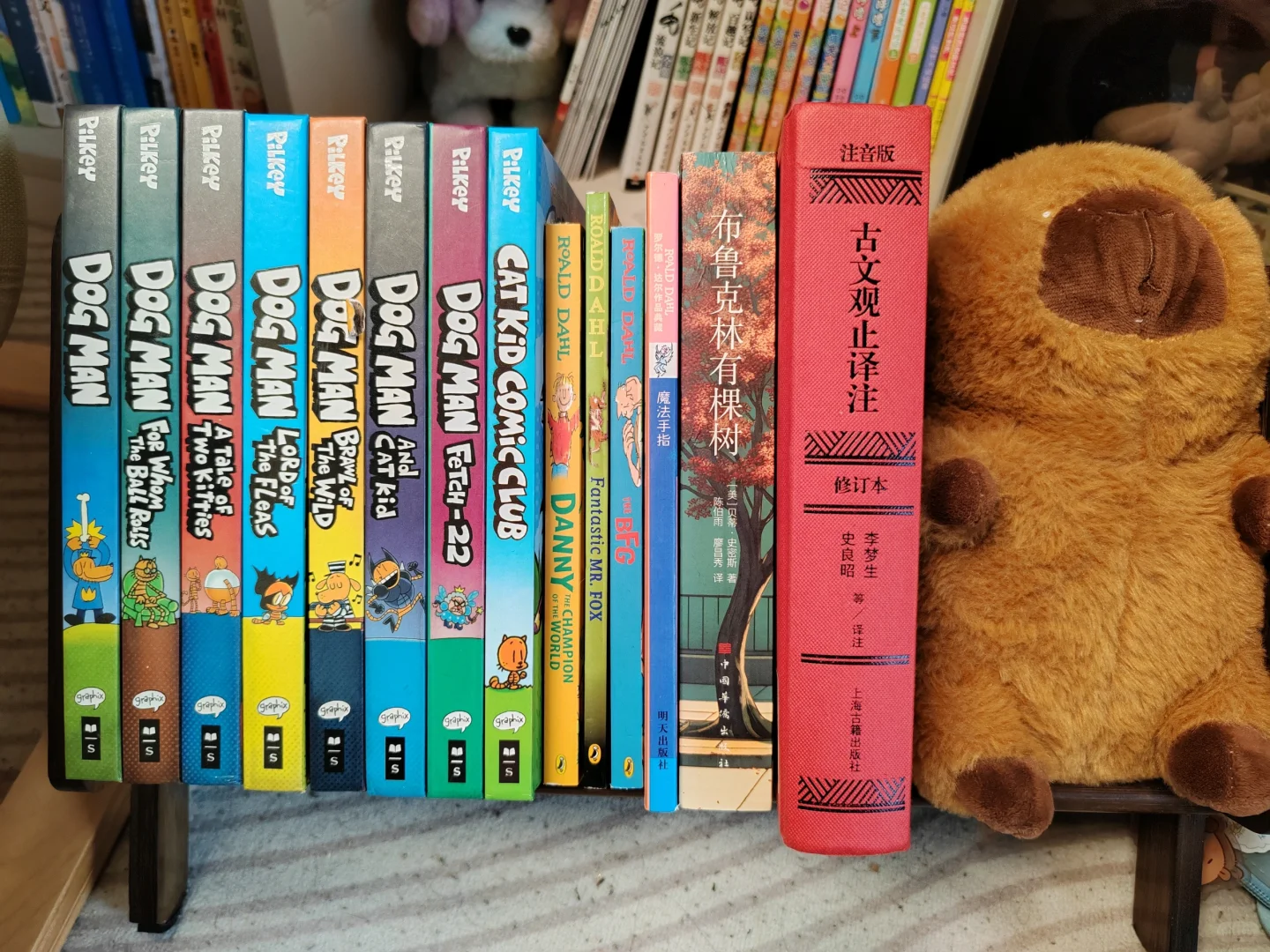 家有书虫|三年级高分书单（附书单）
