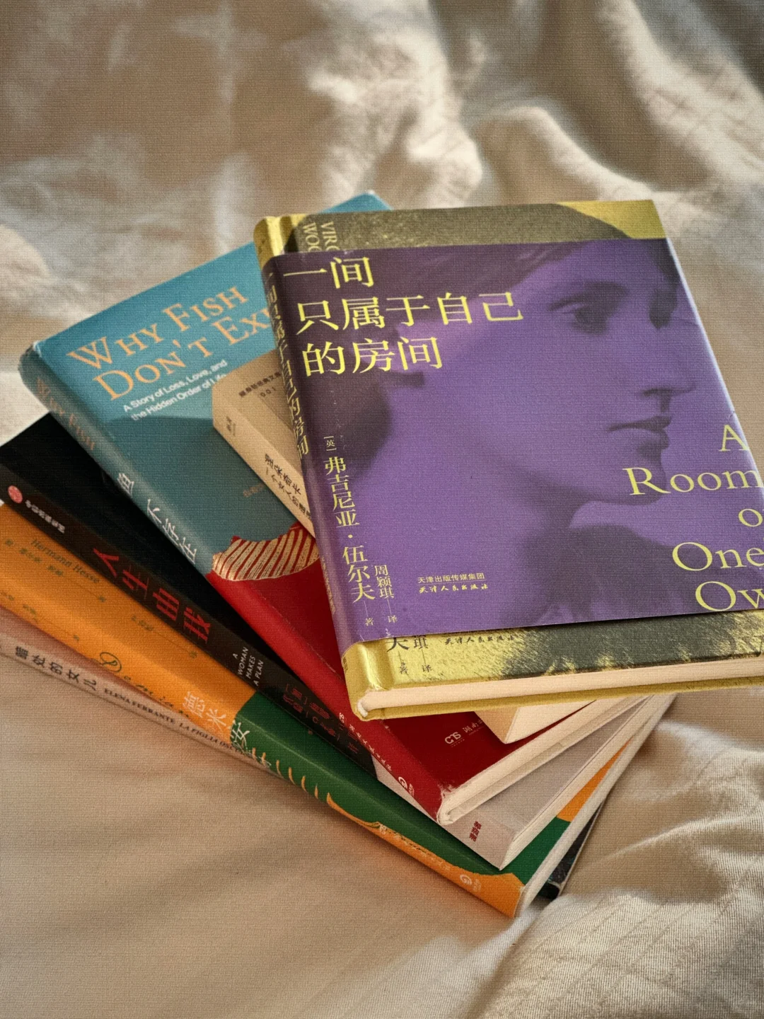 INFJ六月书单📚 |赫尔曼·黑塞《德米安》最佳