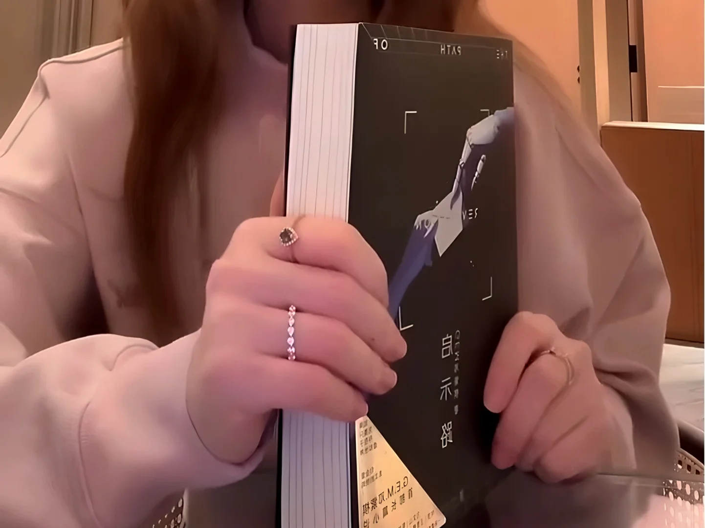 500多页 20万字