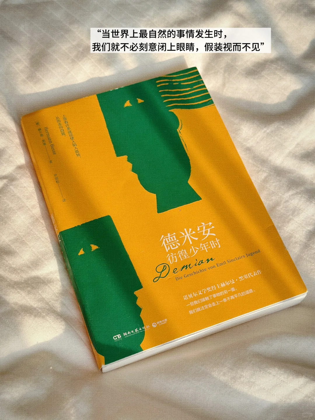 INFJ六月书单📚 |赫尔曼·黑塞《德米安》最佳