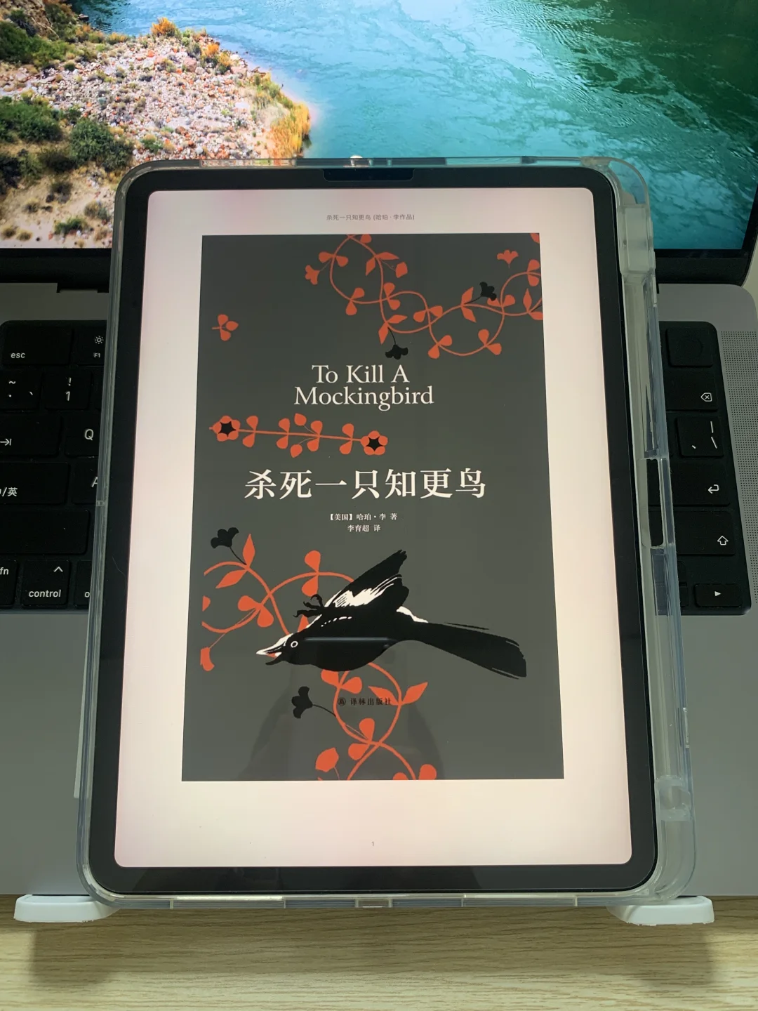 我该不会是最后一个知道这个的吧！
