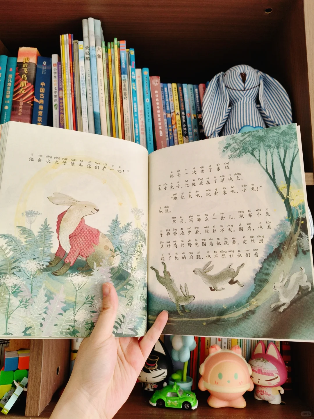 📚儿童名著大推荐！中信版必读🔥