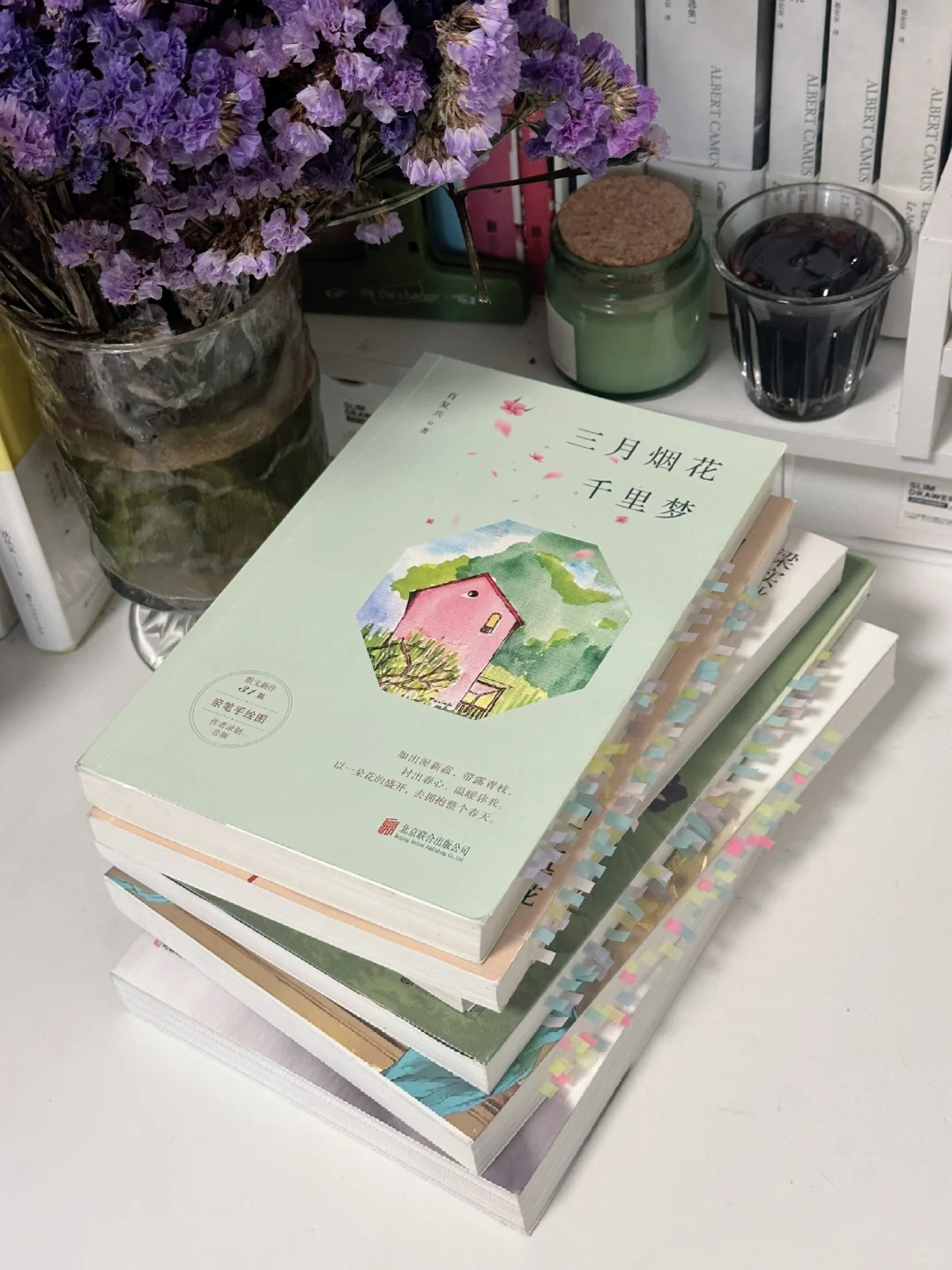 夏日书单｜我心中的五星好书✨每一本都很绝！！