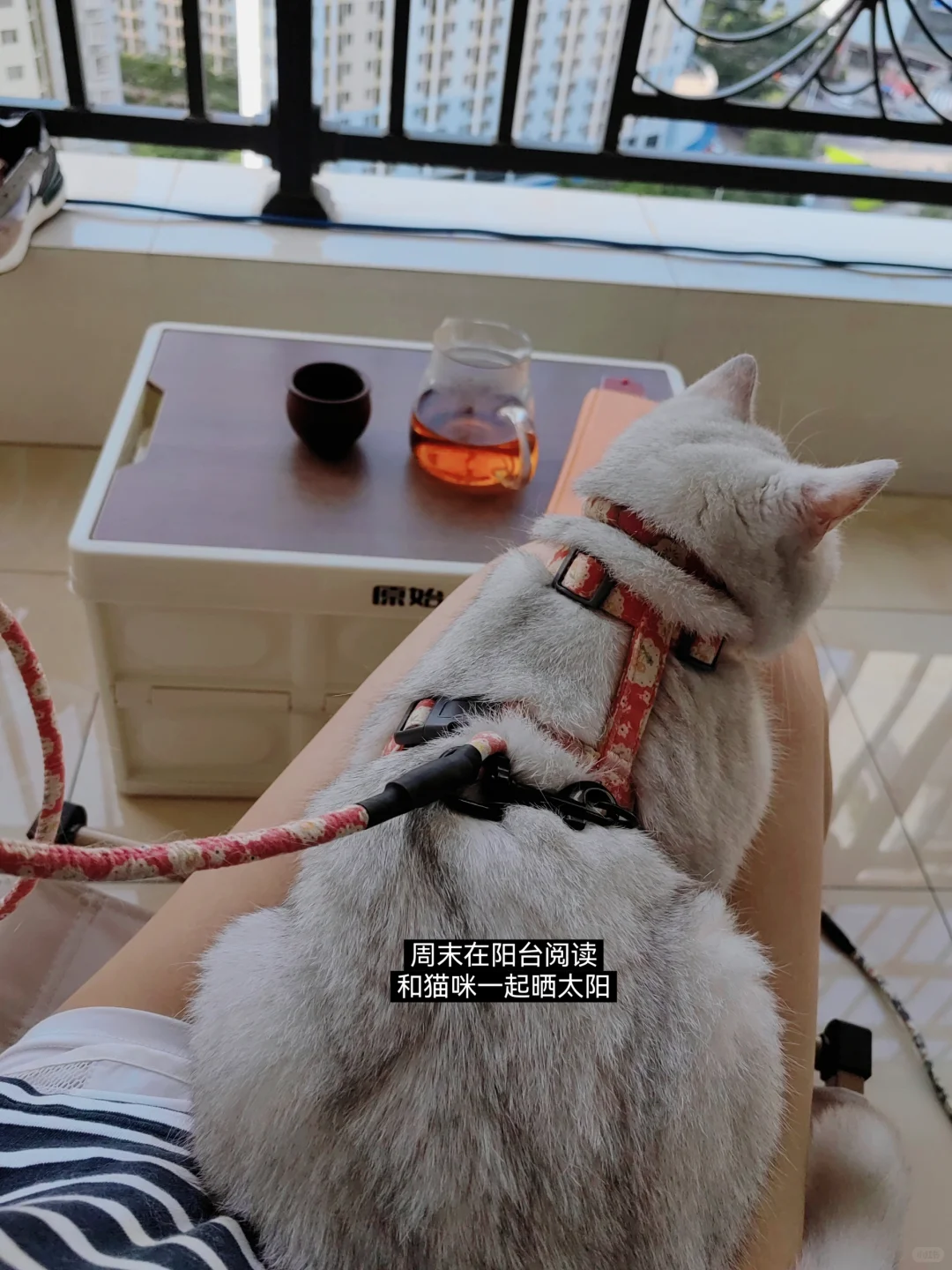 体z内清华人年度书单top10，拧巴的人来看！