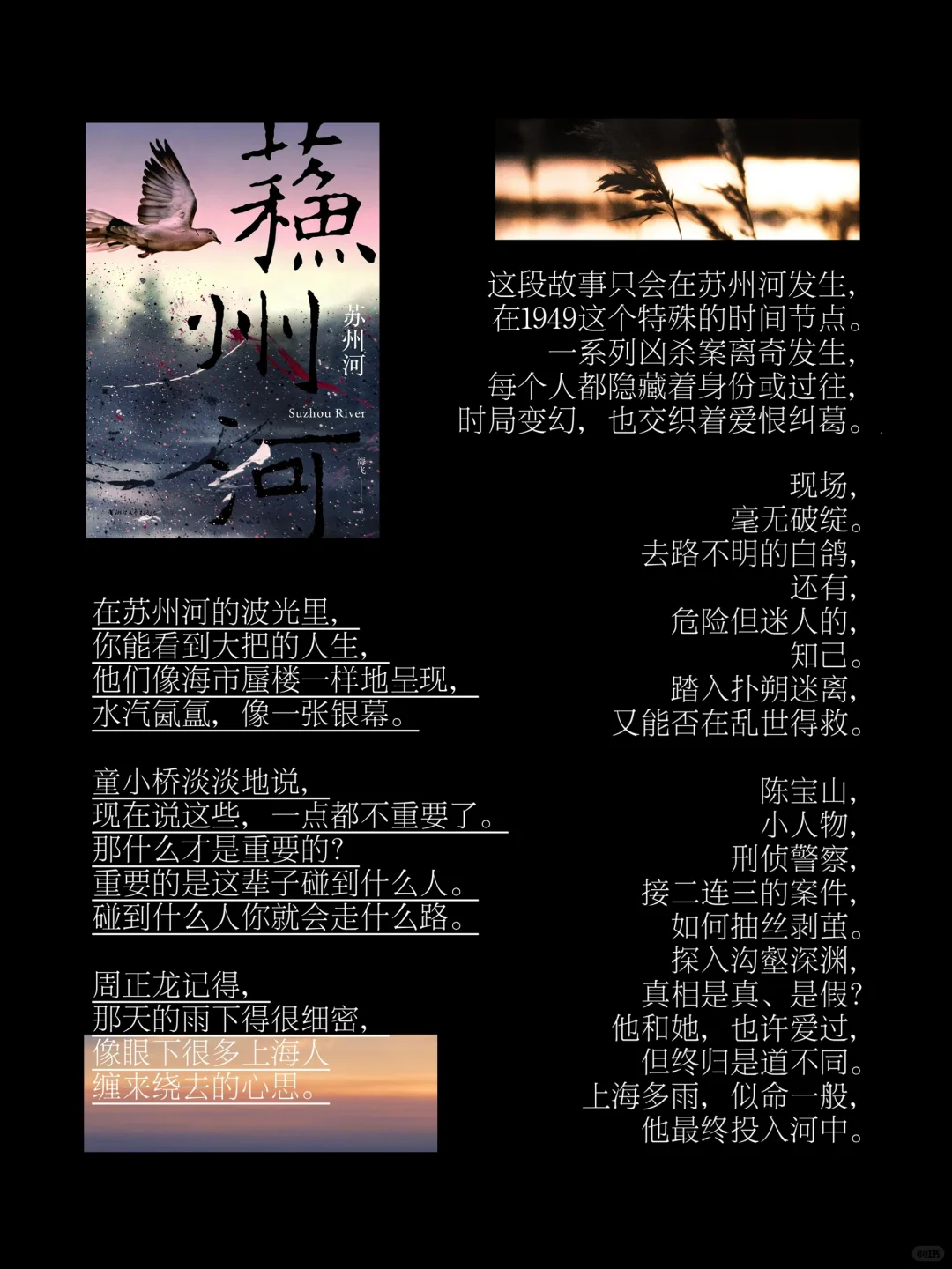 通勤必备书单1｜我在地铁🚇上看些什么