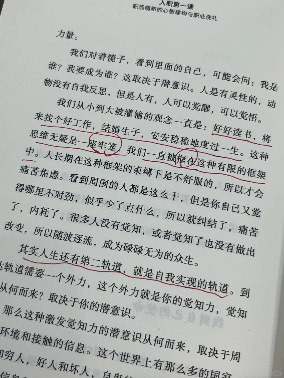 新年发财！稳稳托举自己！职场宝典越早读越好