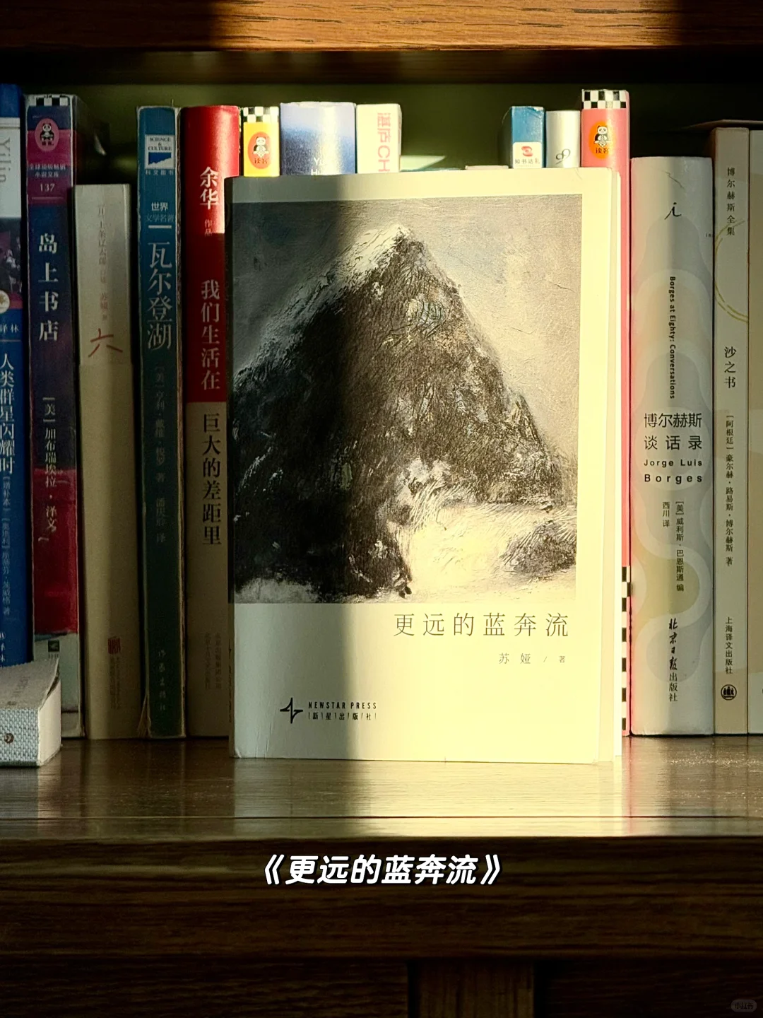 家庭图书馆不是摆设，分享我2025上半年书单