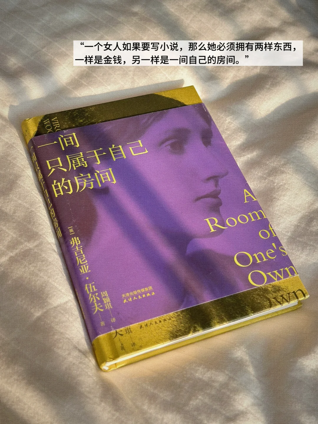 INFJ六月书单📚 |赫尔曼·黑塞《德米安》最佳