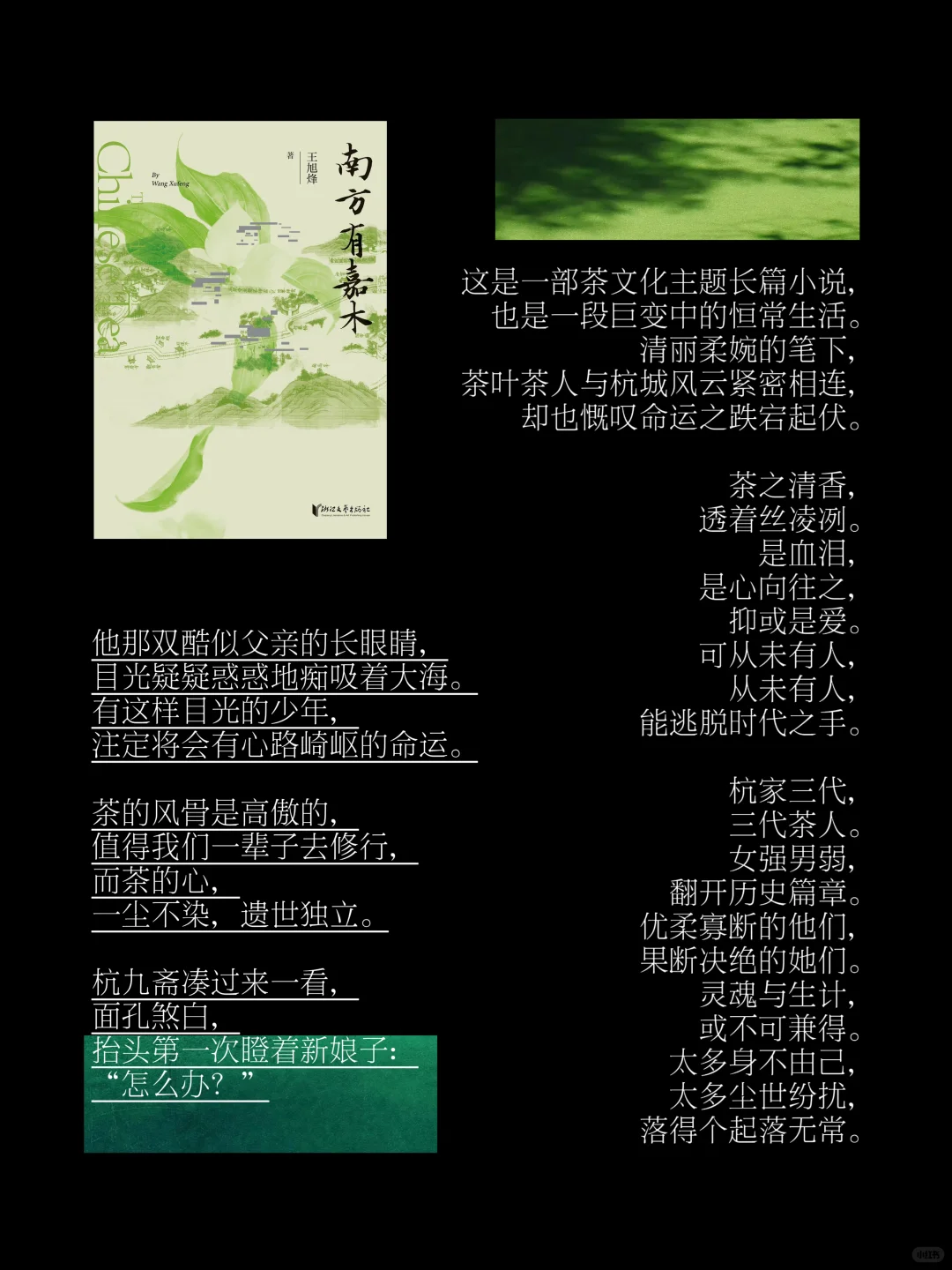 通勤必备书单1｜我在地铁🚇上看些什么