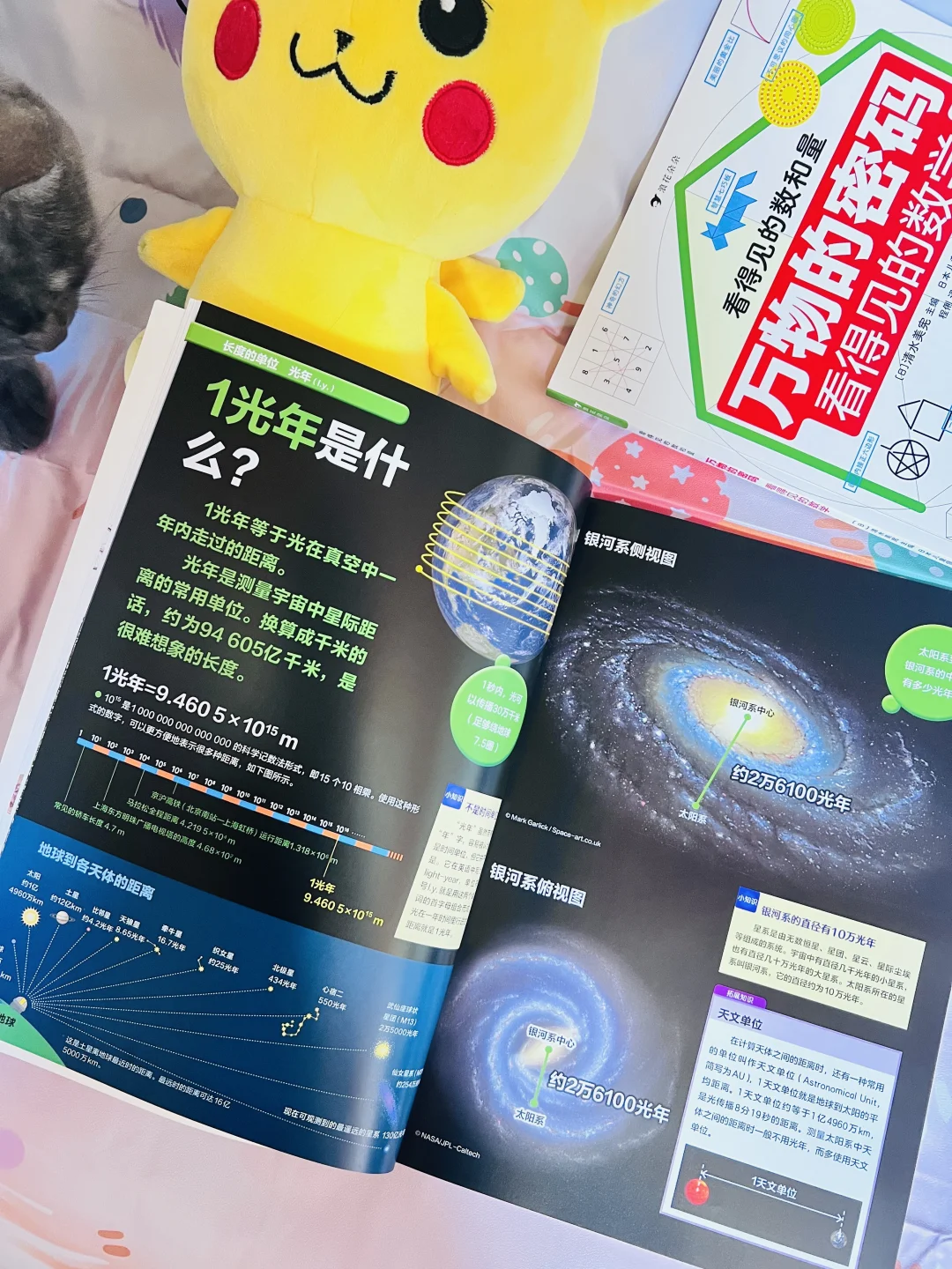 我宣布！！这是小学数理化的神