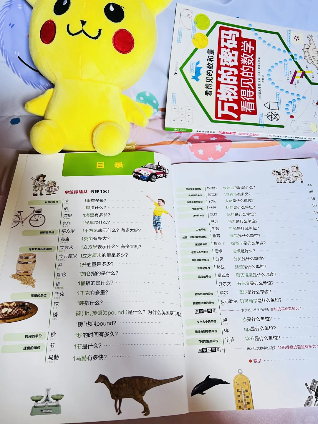 我宣布！！这是小学数理化的神