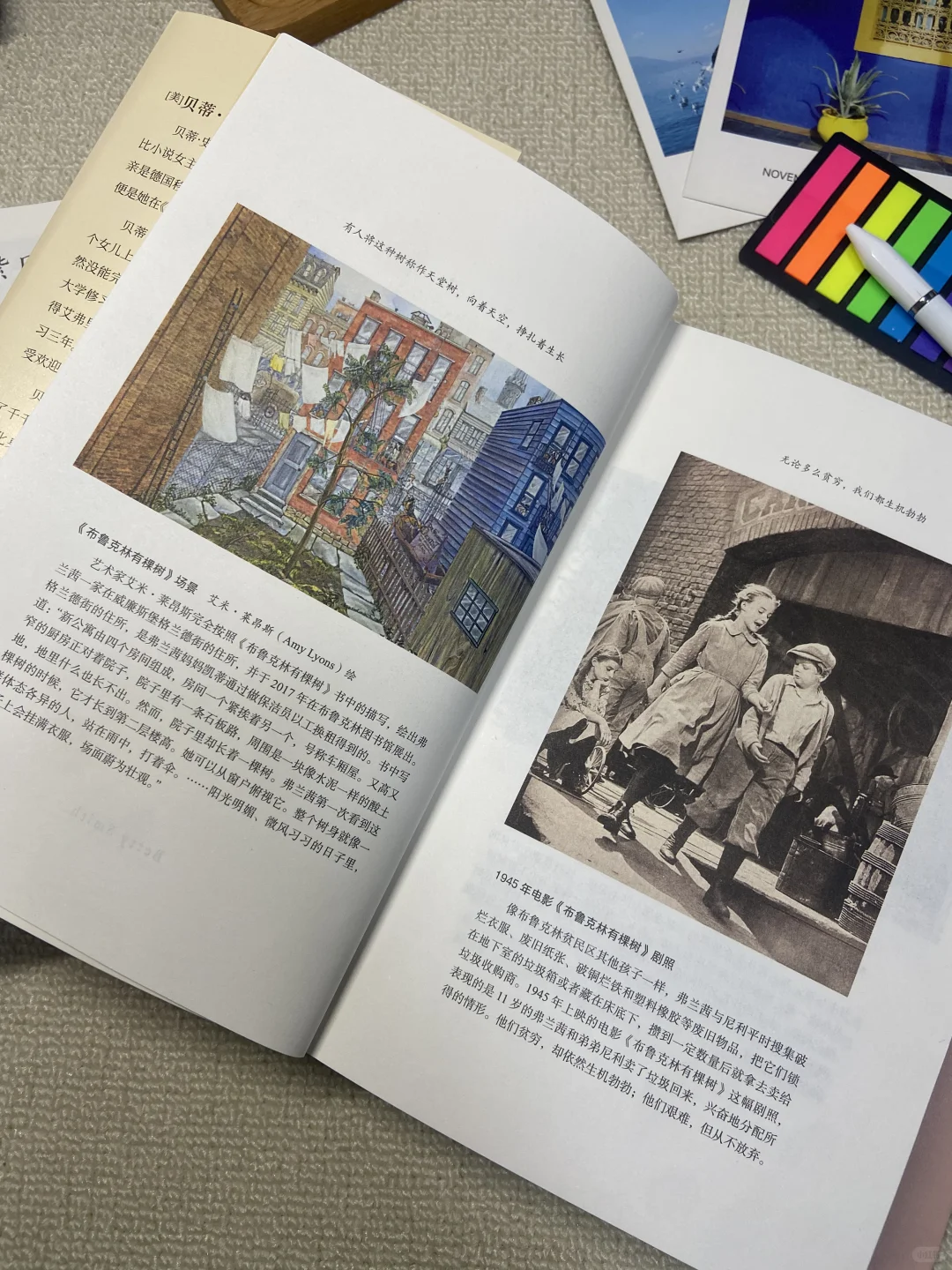 阅读的力量丨青少年必读经典文学书单