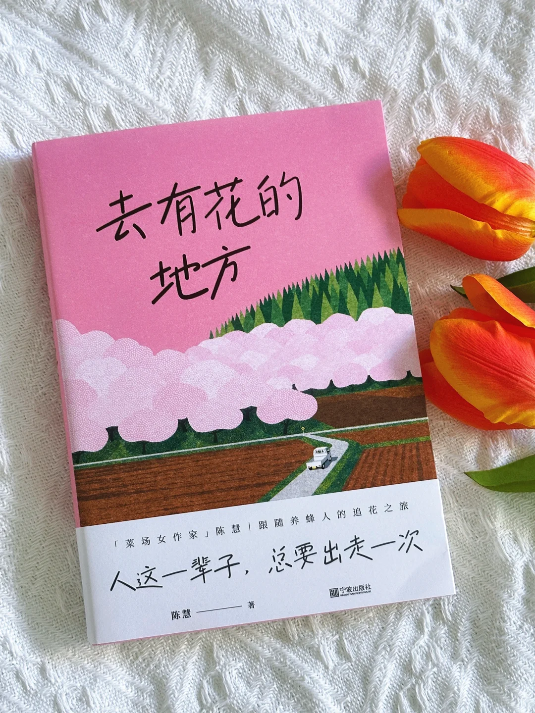 我今年读过最美的一本书，没有之一！！