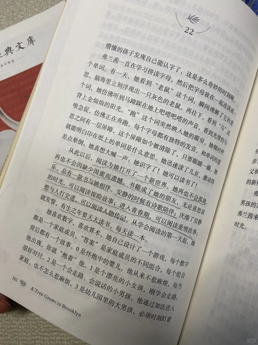 阅读的力量丨青少年必读经典文学书单